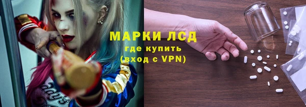 бошки Няндома