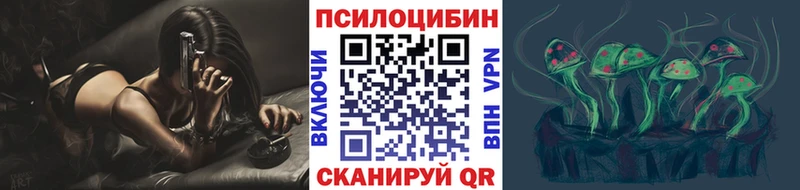 Купить закладки  Ростов  Галлюциногенные грибы Cubensis 